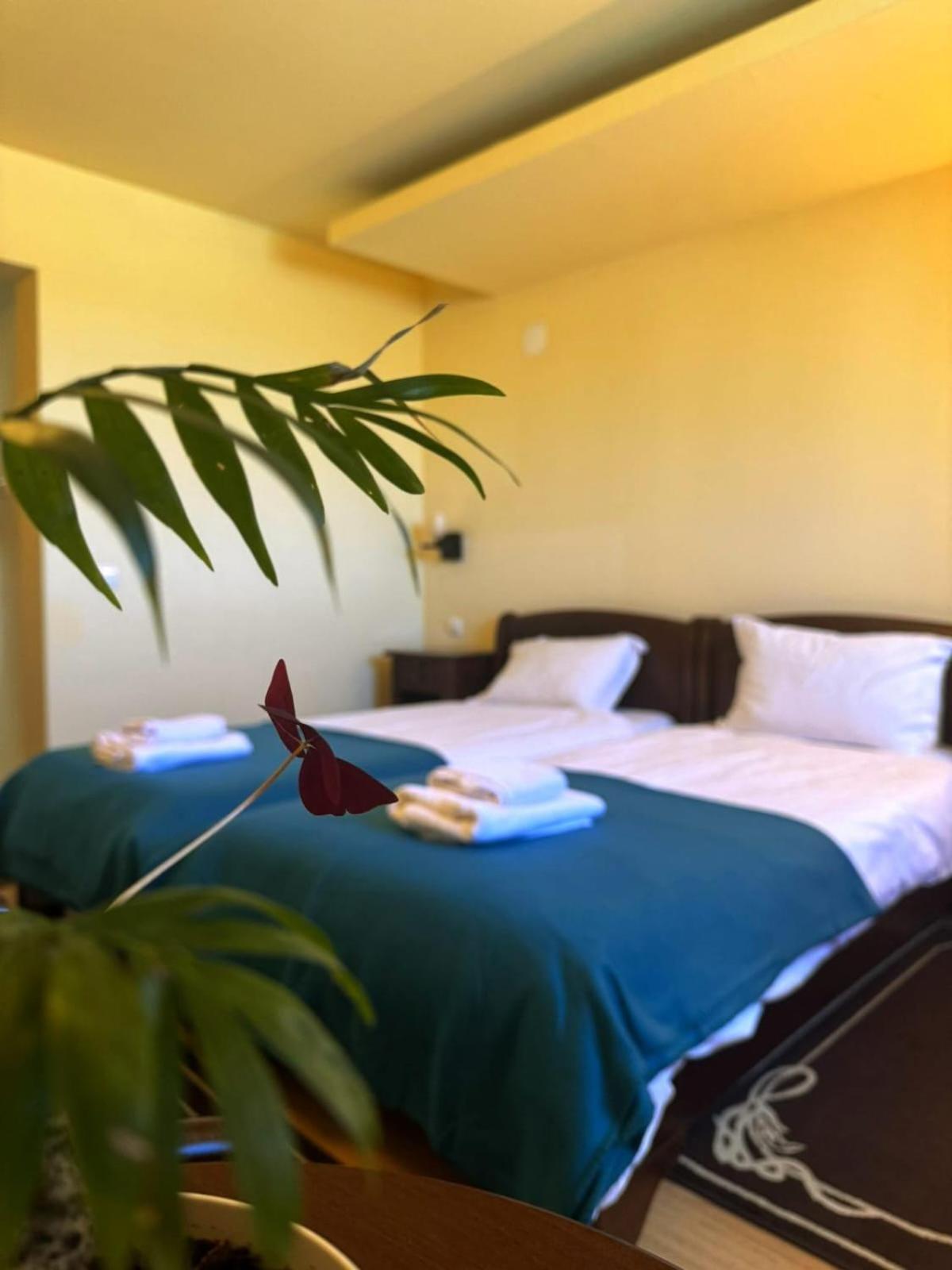 La Cuib Cristian Sibiu Otel Dış mekan fotoğraf